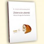 Zbierzcie uomki. Moja droga do Karmelu [ebook]